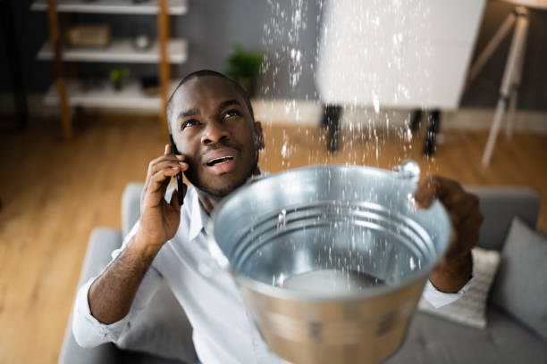 Best Local water damage restoration  in Ashaway, RI