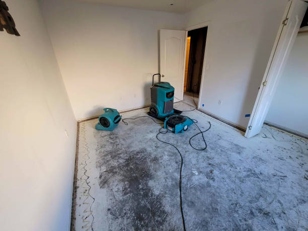 Best Water damage cleanup near me  in Ashaway, RI