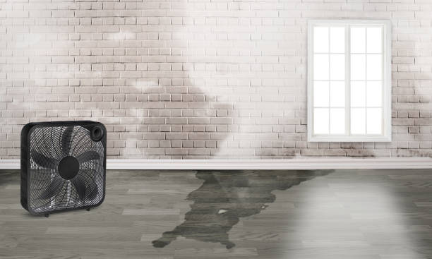 Best Ceiling water damage repair  in Ashaway, RI