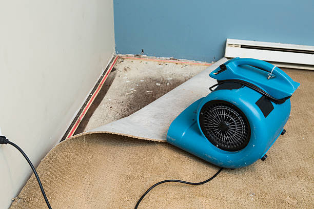 Reliable RI Water damage restoration Solutions